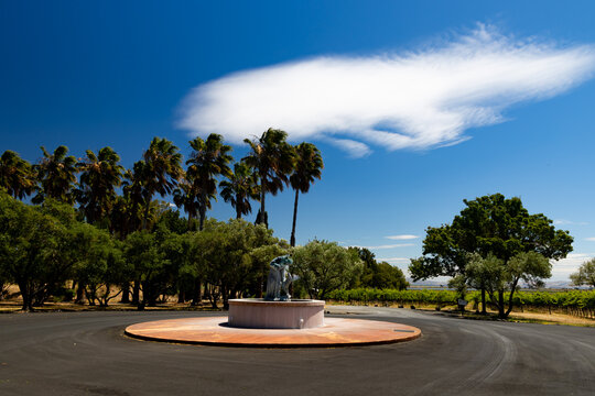 Circular driveway with fountain and sculpture at a Napa Valley winery entrance with vineyards under blue sky.
