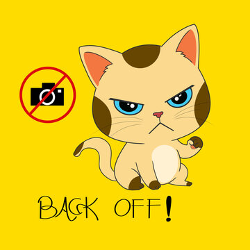 Funny angry cat character saying back off