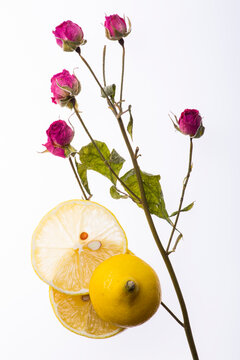 Rose branch and sliced ​​lemon wedges on a white background