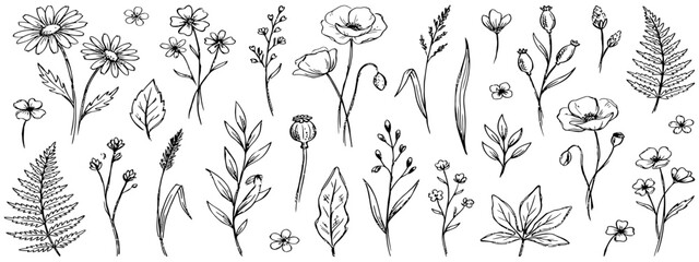 Naklejka premium Grunge minimal charcoal chalk summer autumn flowers. Ink hand drawn wild garden herb set in wax crayon drawing style vector illustration. Floral silhouette elements for scrapbooking or journal design.