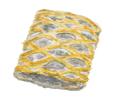 Lattice taro pie watercolor illustration