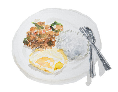Hand Drawn Watercolor Illustration of Thai Stir-Fried Minced Pork with Holy Basil and Fried Egg over Rice
