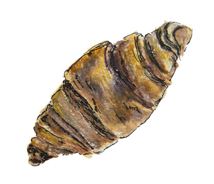 Chocolate Croissant Watercolor Illustration