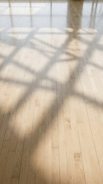 Sunlight casting window shadows on a polished wooden floor
