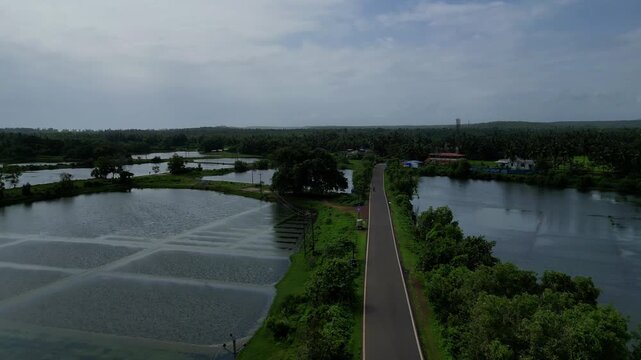 Coastal Salt Pans and Lake Divided by a Rural Road in Konkan, Maharashtra