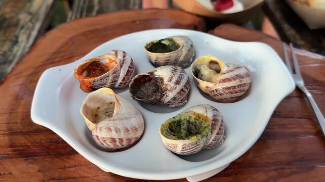 Six baked Helix aspersa snails prepared with various gourmet sauces and herbal fillings in shells. Assorted escargot appetizers served on white ceramic plate on rustic wooden table background.