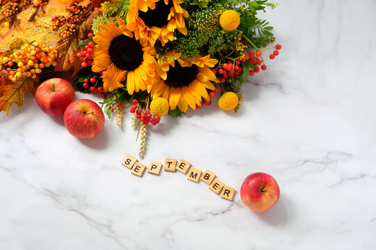 Autumnal flowers bouquet with sunflowers, wooden letters made of text "september" and red apples on marble background. September month calendar concept. fall time, autumn seasonal composition. top vie