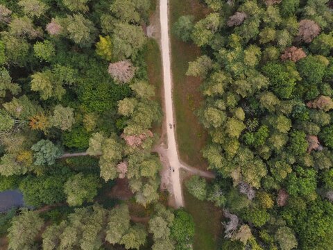 Aerial view of Irchester Country Park featuring a gravel path through dense woodland with lush trees and people walking along the trail in Little Irchester, England, United Kingdom.