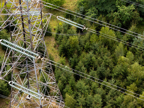 Aerial view of an electricity pylon standing amidst a dense forest of coniferous trees in Gdansk, Poland.