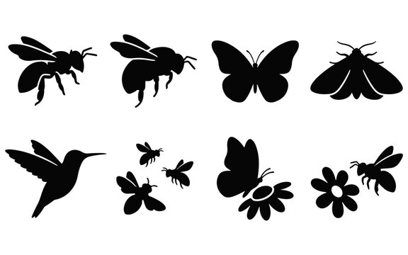 Set of black silhouettes featuring various flying insects and a hummingbird isolated on a clean white background for design