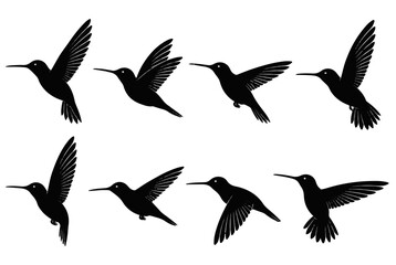 Fototapeta premium Set of Silhouettes of Eight Hummingbirds in Various Flying Poses