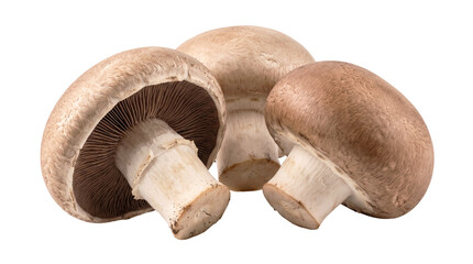 Fresh Button Mushroom Isolated on Transparent Background for Cooking © StockLine Studio