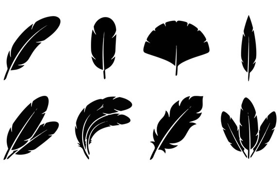 A collection of various bird feather silhouettes isolated on a white background for creative design and graphic art projects