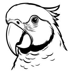 Icono con dibujo sencillo con líneas de la cabeza de un loro vista de perfil	