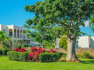 garden with flowers and trees © SRSImages