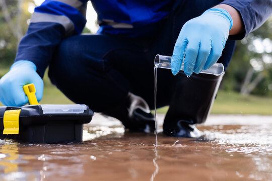 Environmental scientist collecting and examining a water sample from a natural stream for field quality assessment.