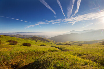 Fototapeta premium Green hills