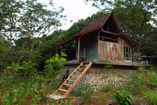 A traditional wooden forest hut used as a temporary resting shelter for agricultural workers, surrounded by lush tropical vegetation.