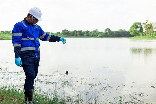 Environmental scientist collecting and examining a water sample from a natural stream for field quality assessment.