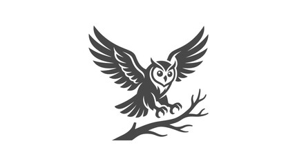 Fototapeta premium Owl perched on branch.