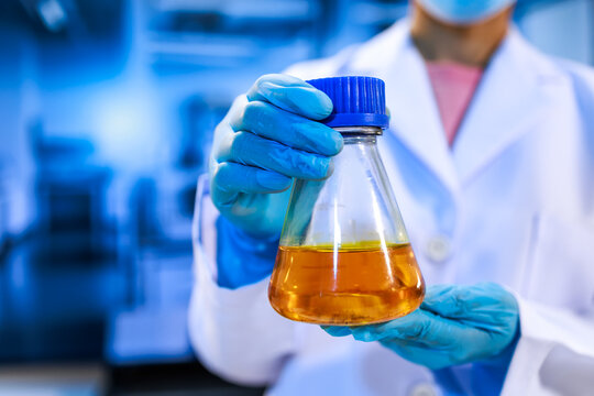 Scientist in gloves holding a flask with amber liquid in a laboratory, chemical testing, research, analysis and modern science work.