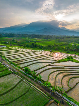 Aerial view of the lush green Jatiluwih rice terraces featuring intricate water-filled paddies, tropical vegetation, and distant volcanic mountains in Penebel, Bali, Indonesia