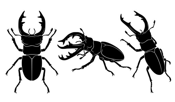 Stag beetle horned mandibles insect silhouette vector collection