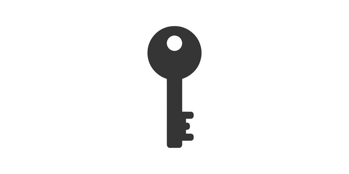Metal key tool dark grey shape security access symbol flat portal icon.