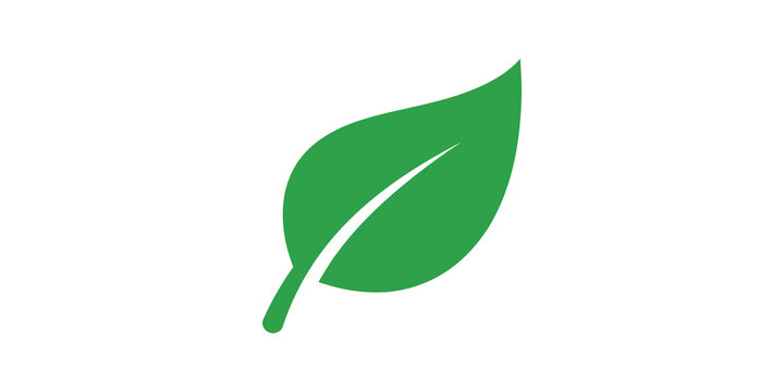 Green leaf flat icon for organic natural branding and environmental work.