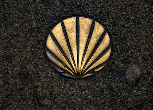Coquille Saint-Jacques dor&eacute;e, symbole du chemin de Saint-Jacques-de-Compostelle