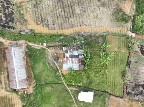 Aerial view of a rural house in Ciloto surrounded by agricultural fields, banana trees, and dirt paths in Cipanas, West Java, Indonesia.