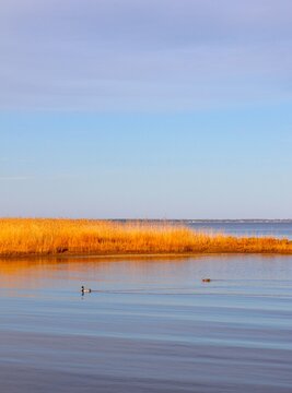 Almost sunset turns peninsula golden