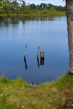 Handles from sunken ladder on wooden jetty