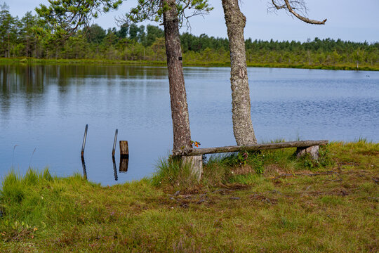 Handles from sunken ladder on wooden jetty