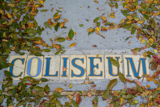 Coliseum Street Tile Sidewalk Sign Framed by Fallen Leaves in New Orleans, LA, USA