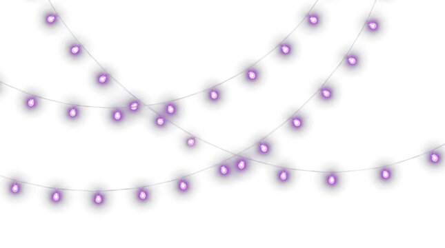 Purple string lights isolated on transparent background