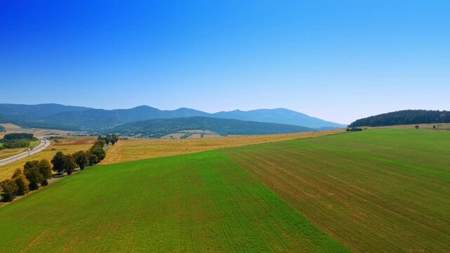 High aerial view of green and yellow agricultural fields. Tree lined road runs alongside farmlands leading toward distant blue mountains under clear sky.
