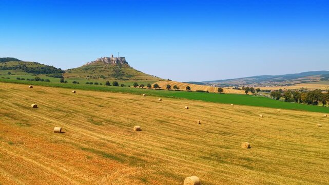 Sunny day in a field with hay bales. A field is full of round hay bales under a clear sky. A hill with a castle stands in the background.