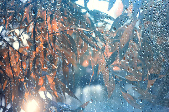 Wet weather, drops of autumn rain on the glass, autumn landscape outside the window, weather change