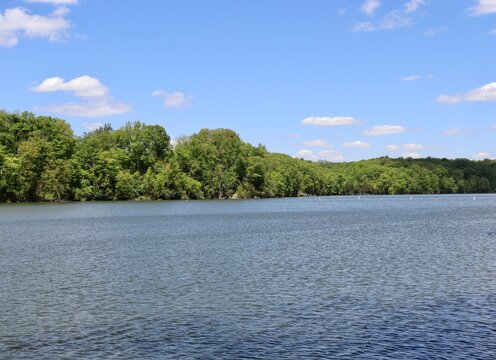 The beautiful peaceful lake on a sunny day.