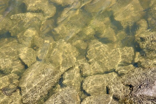 A close view of the rocks and stones under the water.