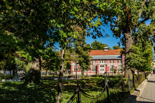 Trees and bushes line the sidewalk of a park with a building in the background, Svishtov, Bulgaria
