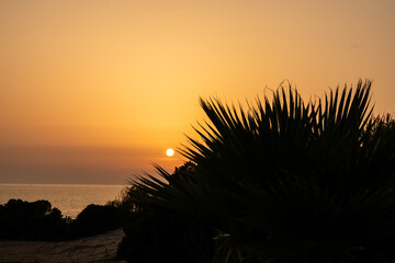 sunset on La Barrosa beach in Sancti Petri, Cadiz, Spain © josevgluis