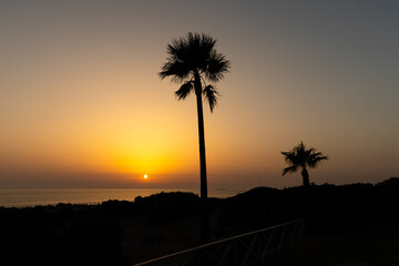 sunset on La Barrosa beach in Sancti Petri, Cadiz, Spain © josevgluis