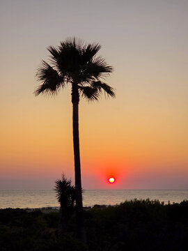 sunset on La Barrosa beach in Sancti Petri, Cadiz, Spain