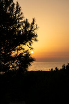 sunset on La Barrosa beach in Sancti Petri, Cadiz, Spain
