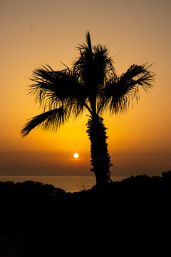sunset on La Barrosa beach in Sancti Petri, Cadiz, Spain