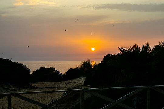 sunset on La Barrosa beach in Sancti Petri, Cadiz, Spain