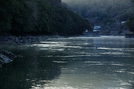 冬の早朝うっすら朝霧のかかった宇治川上流
