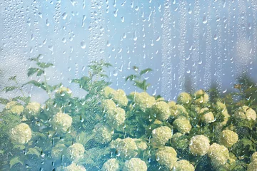 background of rain drops on glass, abstract summer grass and flowers in wet nature freshness © kichigin19